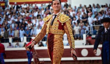 Luque, Clemente y Santiago Domecq, soberbia tarde de toros en Dax