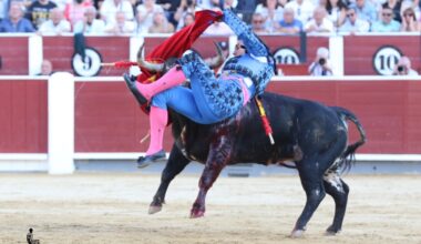 El Mene, oreja entre la mansedumbre y el grave percance de Alejandro Quesada