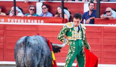 Un entregado Ginés destaca en la complicada y seria corrida de Victorino