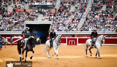 Sergio Galán marra con el rejón de muerte una notable faena al gran primero de El Capea en Logroño