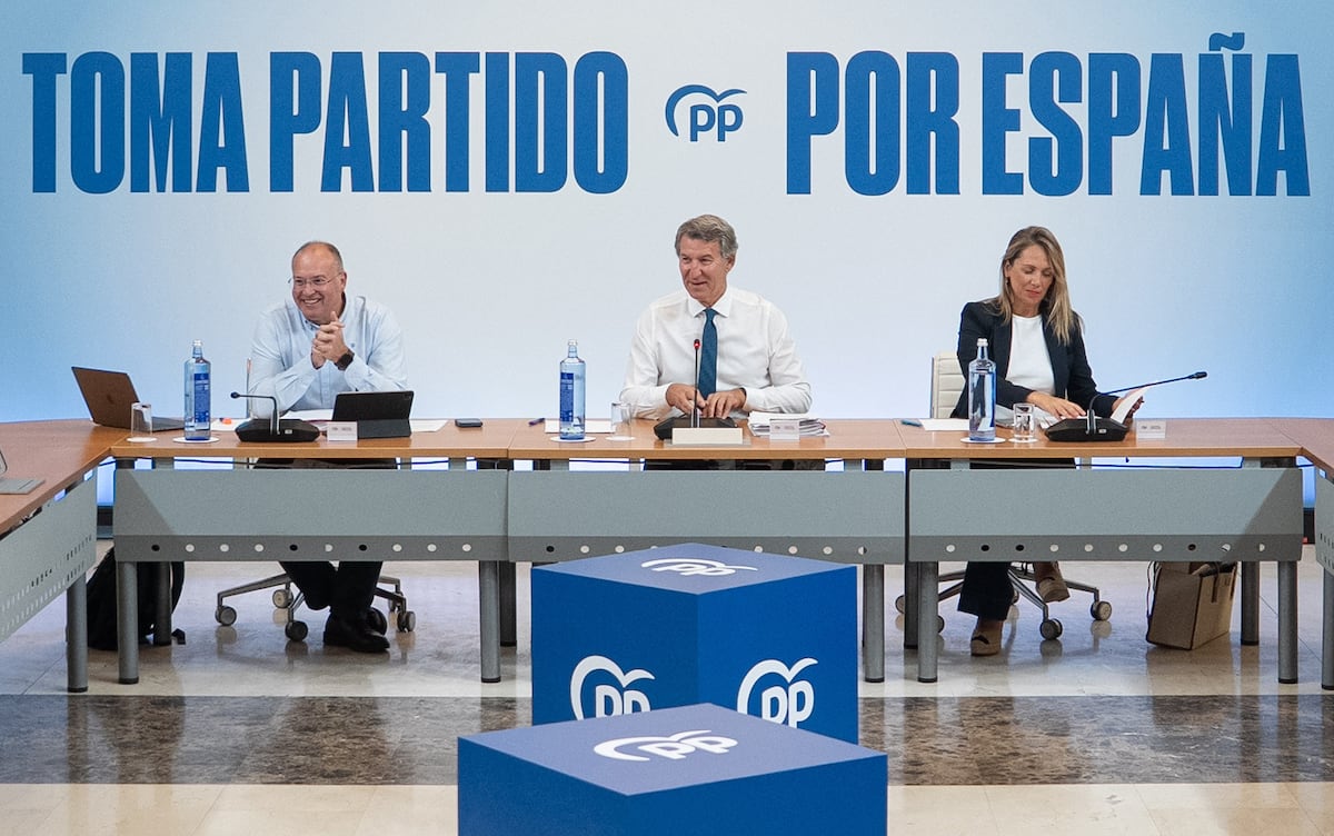 Feijóo pretende obligar por ley a ir a elecciones en caso de dos prórrogas presupuestarias | España