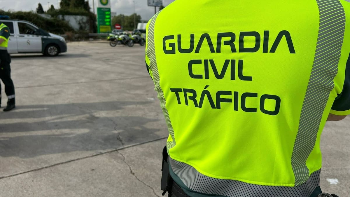 Una mujer conduce durante 14 kilómetros sin dos de las ruedas de su vehículo tras sufrir un reventón | Sociedad