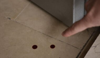 Ordenan prisión sin fianza para el detenido del crimen machista de Sevilla Este una vez reciba el alta en el hospital