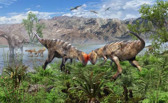 Hallan una nueva especie de paquicefalosaurio