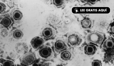 Descubren un antiviral contra el herpes que vence la resistencia a las curas actuales
