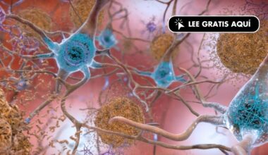 El alzhéimer, ¿una enfermedad infecciosa?