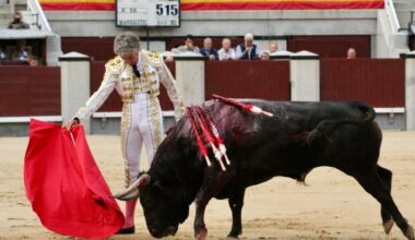 Rubén Sanz se confirma en Las Ventas sin toros, sin estoque y con prisas