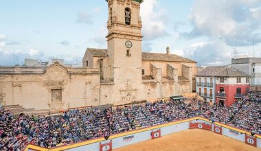 Algemesí, a pesar de todo – Avance Taurino