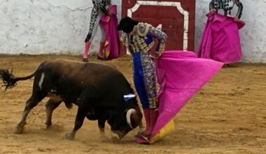 Un gran Tirado y una gran novillada de Albarreal triunfan en Zalamea