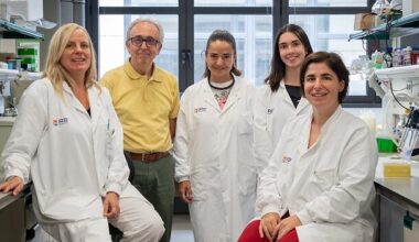 Nueva estrategia para combatir la obesidad a través de la activación del tejido adiposo marrón