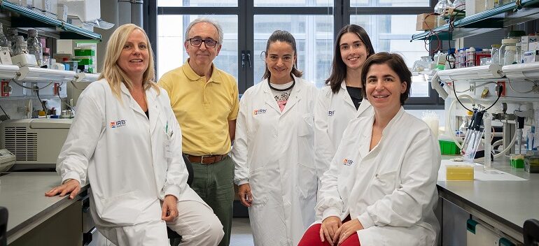 Nueva estrategia para combatir la obesidad a través de la activación del tejido adiposo marrón