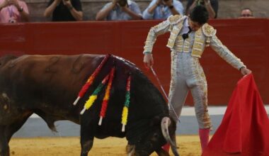 Tomás Bastos provoca un seísmo taurino en Villaseca de la Sagra