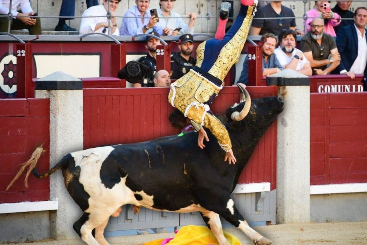 Torero español es corneada y termina de urgencia en el hospital