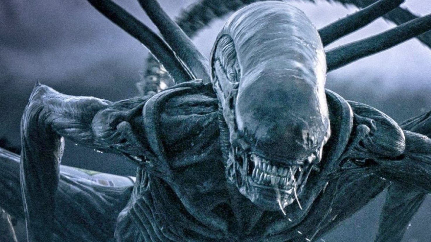 Orden cronológico de ‘Alien’: cómo ver todas las películas y series de la saga correctamente