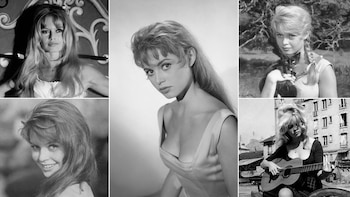 El libro ofrece una visión