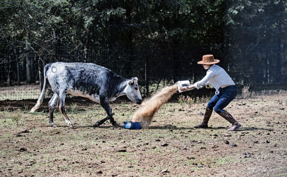 Paola creció rodeada de toros de lidia, pues su abuelo era matador y ganadero. Foto: Gabriel Pano / EL UNIVERSAL
