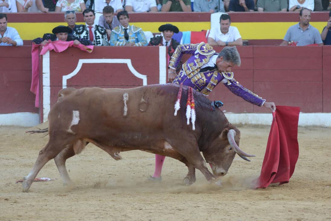 Largo el natural de Escribano al toro de Alcurrucén  V Moya