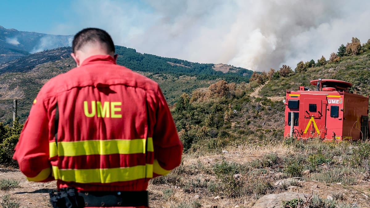 Castilla-La Mancha y Castilla y León crean un mando unificado por el incendio del Pico del Lobo, que ya ha saltado a Segovia | Sociedad