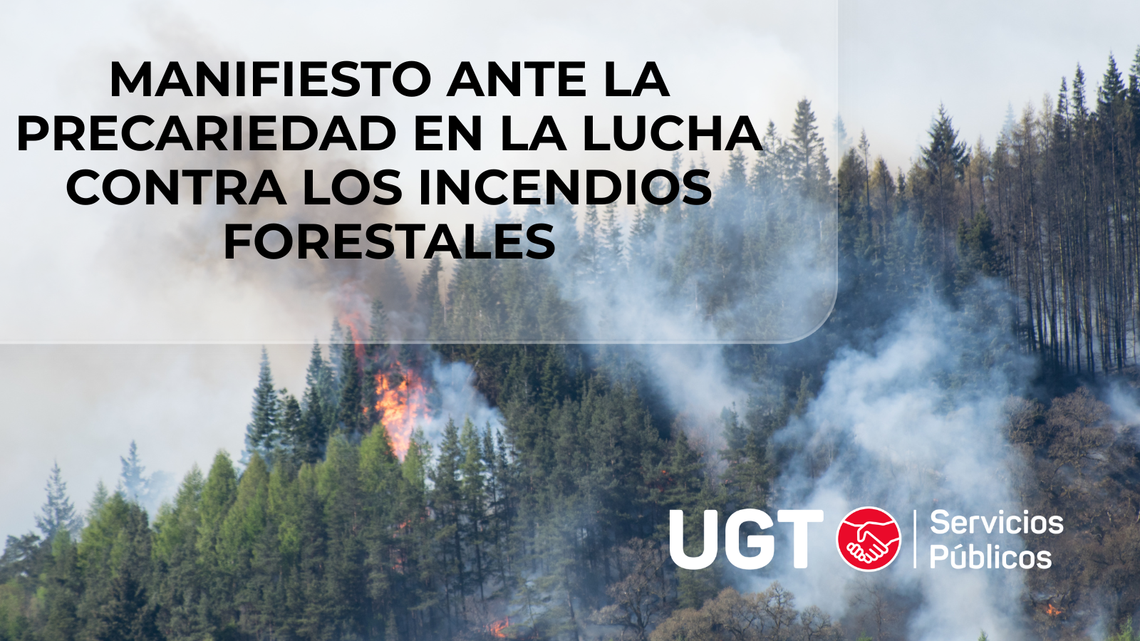 Manifiesto ante la precariedad en la lucha contra incendios forestales
