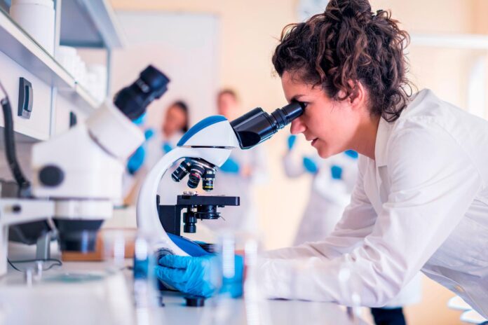 investigación