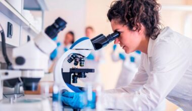 investigación
