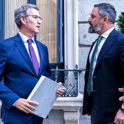 Abascal y Feijóo, en el Congreso.
