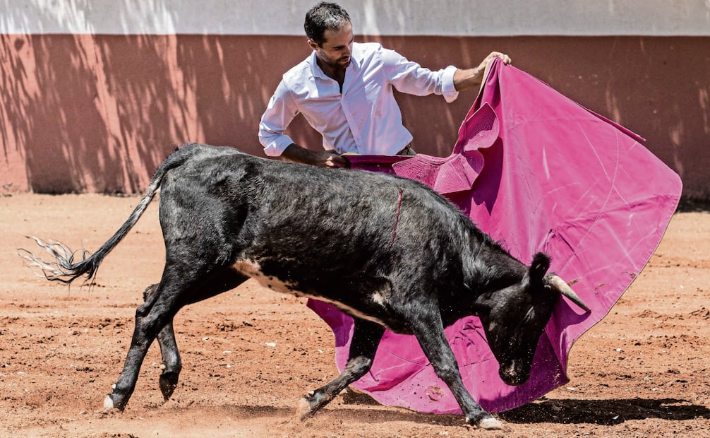 El matador Juan Pablo Sánchez torea a una vaca de lidia como práctica para enfrentar a un toro. Foto: Gabriel Pano / EL UNIVERSAL