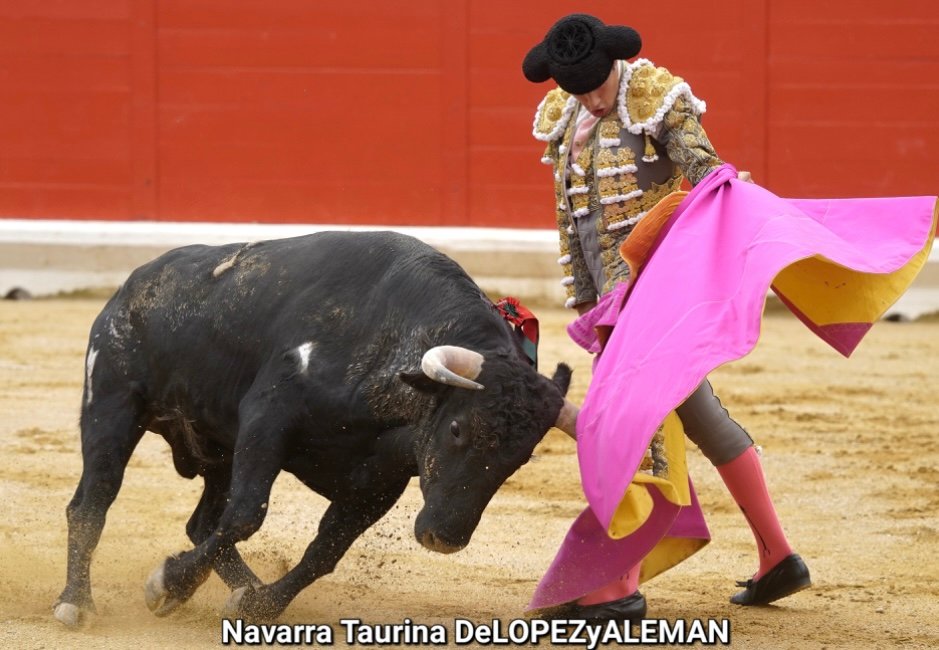 PERALTA 1 TRIGUEROS FOTO NAVARRA TAURINA DELOPEZ Y ALEMAN