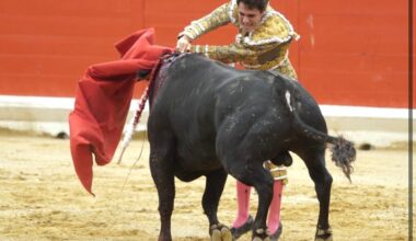 PERALTA 6 TRIGUEROS FOTO NAVARRA TAURINA DELOPEZ Y ALEMAN