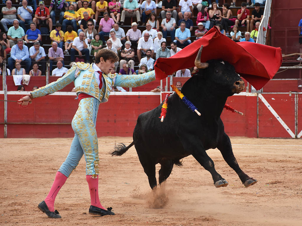 Pase de pecho de Pepe Luis Cirugeda. / A.M.