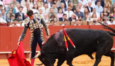 Sevilla: 2ª de San Miguel – Justicia para Luque e injusticia con Borja