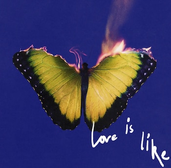 El disco Love Is Like
