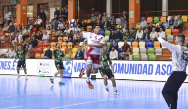 El BM Logroño muere en la orilla