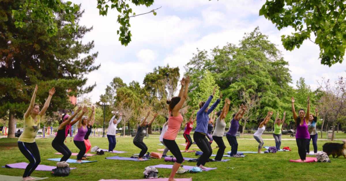 “Fascist Yoga”: el libro que revela los vínculos entre el yoga y movimientos extremistas