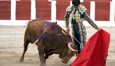 Seis toros de Peñajara y seis orejas de Morenito en Talavera de la Reina