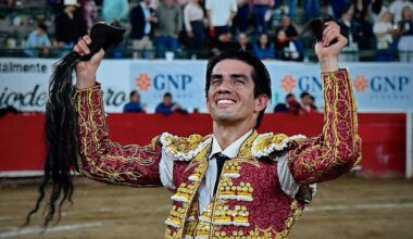 El toro da revancha – El Financiero