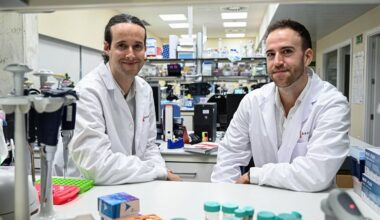 Una nueva metodología epigenética permite reconstruir la evolución del cáncer y anticipar su progresión clínica