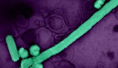 Virus-gripe-A-H3N2-ISCIII