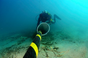 Cortes de cables en el