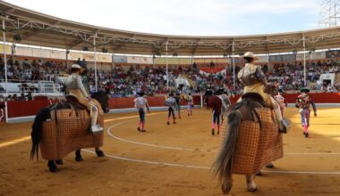 Torería de Tomás Bastos, oreja del tercero en Villaseca de la Sagra