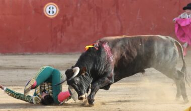 Félix San Román, "traumatismo en región cervical y hombro izquierdo, y posible fisura de costilla"