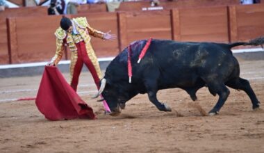 Ser figura y parecerlo (Todo un reto) - SALAMANCArtv AL DÍA