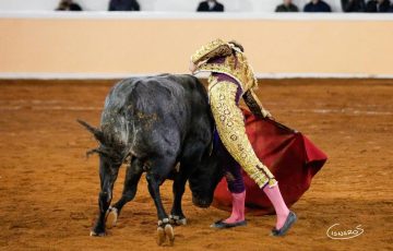 Triunfa a lo grande Isaac Fonseca en Juriquilla