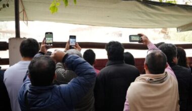 Acho muestra a sus abonados los toros de Domingo Hernández y Núñez del Cuvillo