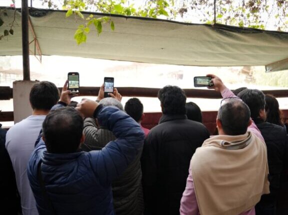 Acho muestra a sus abonados los toros de Domingo Hernández y Núñez del Cuvillo