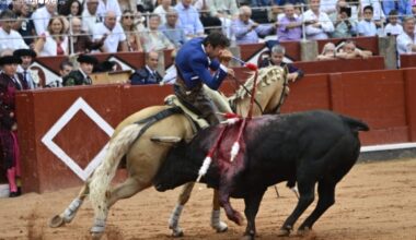 Ovación para un templado y torero Sergio Galán - SALAMANCArtv AL DÍA