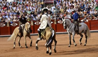 Caballos de rejoneo (ejemplares únicos) - SALAMANCArtv AL DÍA