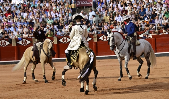 Caballos de rejoneo (ejemplares únicos) - SALAMANCArtv AL DÍA