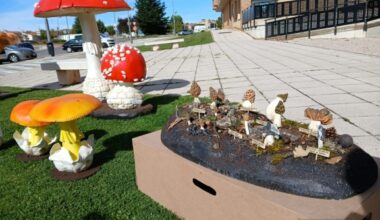 Del campo a la ciudad: El Ayuntamiento de Soria presenta su nueva colección de esculturas micológicas
