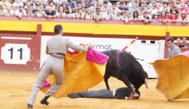 Samuel Navalón sufre una cornada en el cuello en el festival de Algemesí